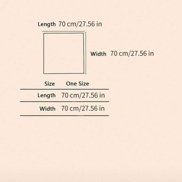 NWOT: Elegant Multicolor Silk Scarf - Picture 5 of 5